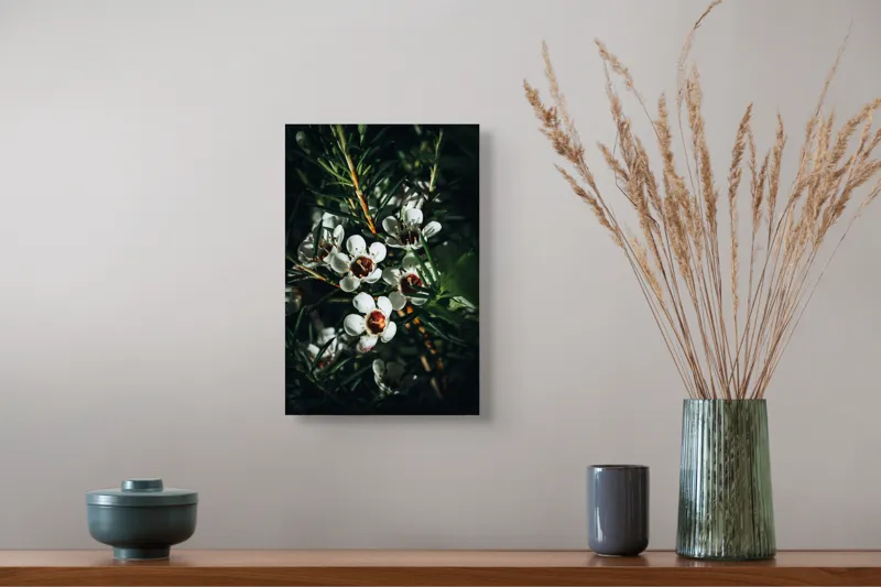 Tablou Canvas, "Flori albe în lumina umbrei", Flori, Albe, Frunze, Verde, Natura, Detalii, Lumina, Umbre, 26 x 39 cm – poza 5