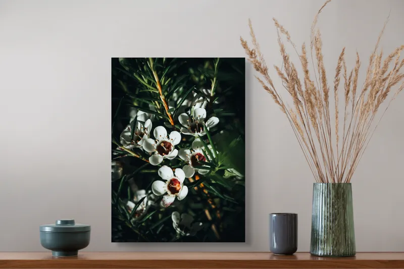 Tablou Canvas, "Flori albe în lumina umbrei", Flori, Albe, Frunze, Verde, Natura, Detalii, Lumina, Umbre, 39 x 54 cm – poza 3