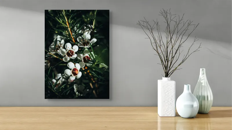 Tablou Canvas, "Flori albe în lumina umbrei", Flori, Albe, Frunze, Verde, Natura, Detalii, Lumina, Umbre, 39 x 54 cm – poza 4