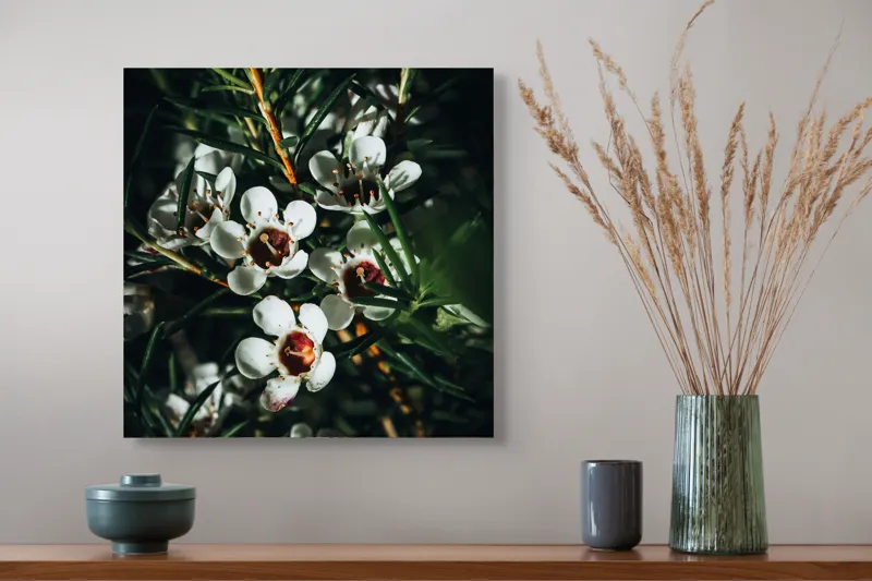 Tablou Canvas, "Flori albe în lumina umbrei", Flori, Albe, Frunze, Verde, Natura, Detalii, Lumina, Umbre, 50 x 50 cm – poza 4