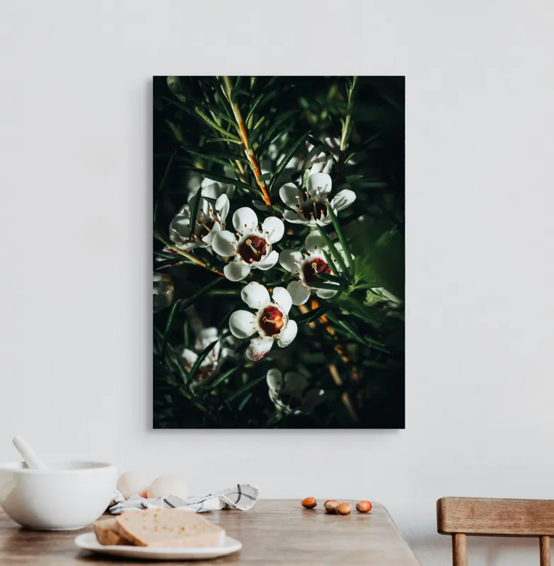 Tablou Canvas, "Flori albe în lumina umbrei", Flori, Albe, Frunze, Verde, Natura, Detalii, Lumina, Umbre, 50 x 70 cm – poza 3