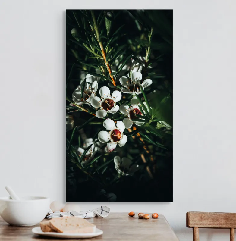 Tablou Canvas, "Flori albe în lumina umbrei", Flori, Albe, Frunze, Verde, Natura, Detalii, Lumina, Umbre, 50 x 90 cm – poza 3