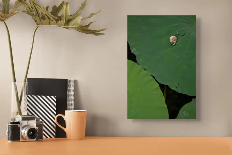 Tablou Canvas, "Boboc de lotus pe frunze verzi", Frunze, Lotus, Picături, Verde, Boboc, Crăpătură, Textură, Natură, 26 x 39 cm – poza 3