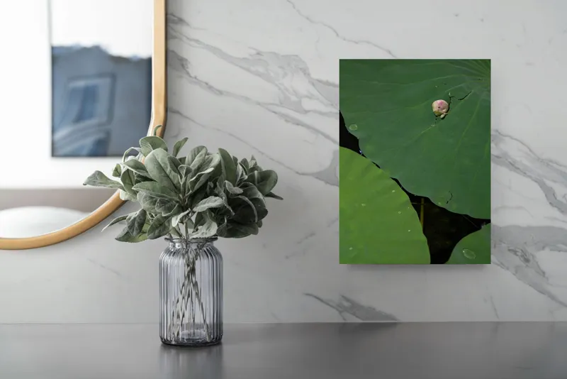 Tablou Canvas, "Boboc de lotus pe frunze verzi", Frunze, Lotus, Picături, Verde, Boboc, Crăpătură, Textură, Natură, 26 x 39 cm – poza 4