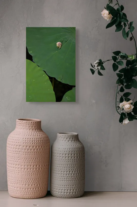 Tablou Canvas, "Boboc de lotus pe frunze verzi", Frunze, Lotus, Picături, Verde, Boboc, Crăpătură, Textură, Natură, 26 x 39 cm – poza 6