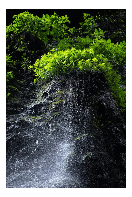 Tablou Canvas, "Cascada sub strălucirea frunzelor verzi", Cascadă, Vegetație, Apă, Stâncă, Verde, Natură, Ploaie, Frunziș, Umbră, Mișcare, 26 x 39 cm