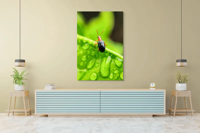 Tablou Canvas, "Gândăcel pe frunza înrourată verde", Gândac, Frunză, Picături, Verde, Textură, Natură, Aproape, Clar, Mic, Viu, 100 x 150 cm – poza 4