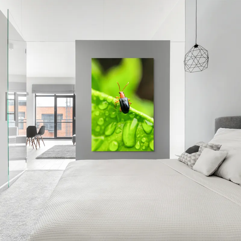 Tablou Canvas, "Gândăcel pe frunza înrourată verde", Gândac, Frunză, Picături, Verde, Textură, Natură, Aproape, Clar, Mic, Viu, 100 x 150 cm – poza 5