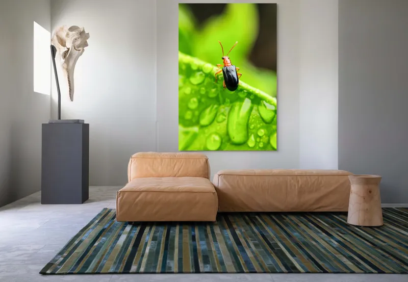 Tablou Canvas, "Gândăcel pe frunza înrourată verde", Gândac, Frunză, Picături, Verde, Textură, Natură, Aproape, Clar, Mic, Viu, 100 x 150 cm – poza 7