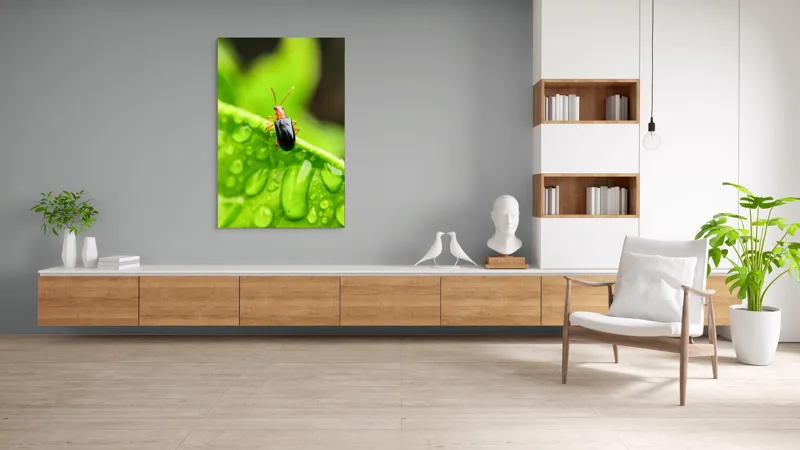 Tablou Canvas, "Gândăcel pe frunza înrourată verde", Gândac, Frunză, Picături, Verde, Textură, Natură, Aproape, Clar, Mic, Viu, 100 x 150 cm – poza 8