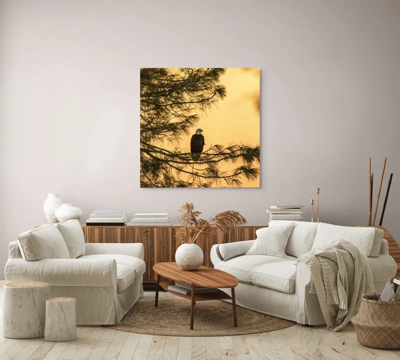 Tablou Canvas, "Vulturul în apusul de aur", Vultur, Ramură, Apus, Siluetă, Natură, Liniște, Eleganță, Contemplare, 100 x 100 cm – poza 3