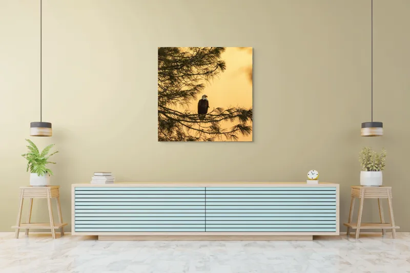 Tablou Canvas, "Vulturul în apusul de aur", Vultur, Ramură, Apus, Siluetă, Natură, Liniște, Eleganță, Contemplare, 100 x 100 cm – poza 5