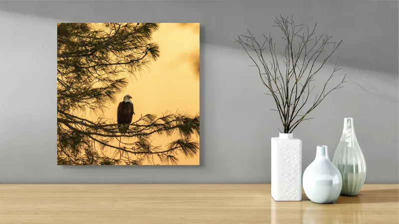Tablou Canvas, "Vulturul în apusul de aur", Vultur, Ramură, Apus, Siluetă, Natură, Liniște, Eleganță, Contemplare, 50 x 50 cm – poza 3