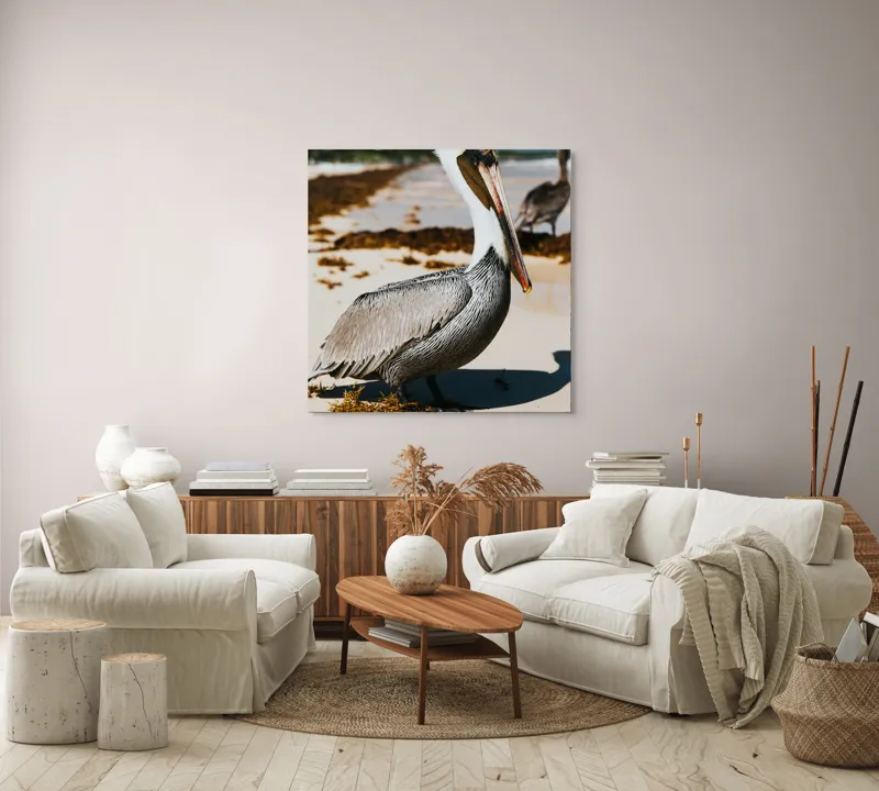 Tablou Canvas, "Pelican visător pe plajă însorită", Pelican, Plajă, Mare, Nisip, Alge, Cer Albastru, Pene, Pasăre, Apă, Natură, 100 x 100 cm – poza 3