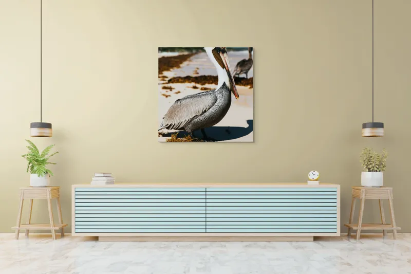 Tablou Canvas, "Pelican visător pe plajă însorită", Pelican, Plajă, Mare, Nisip, Alge, Cer Albastru, Pene, Pasăre, Apă, Natură, 100 x 100 cm – poza 5