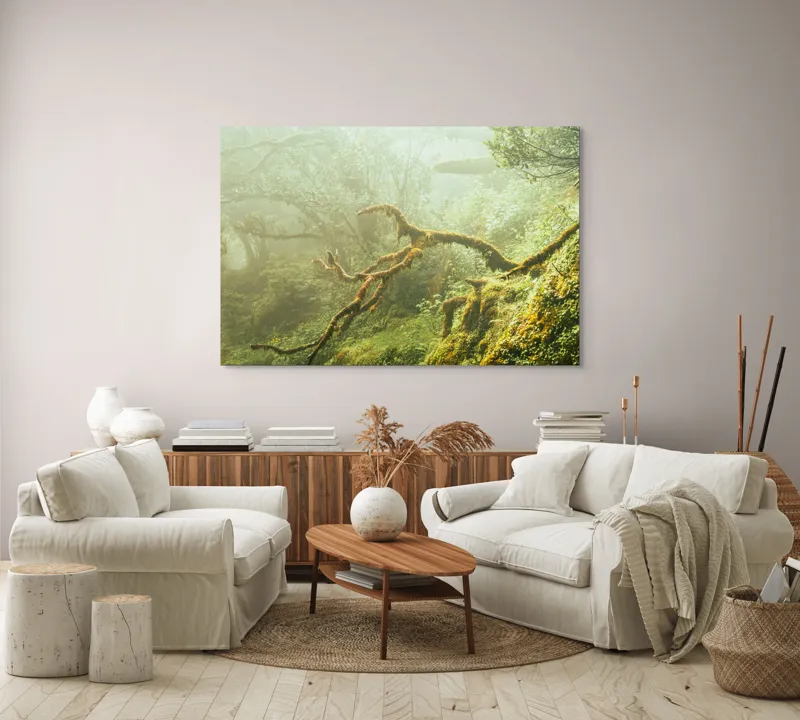 Tablou Canvas, "Tărâmul fermecat al pădurii deasă", Mister, Verdeață, Ceață, Rădăcini, Copaci, Natură, Liniște, Sălbăticie, 150 x 100 cm – poza 3
