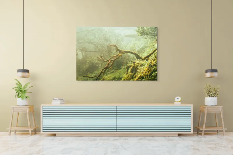 Tablou Canvas, "Tărâmul fermecat al pădurii deasă", Mister, Verdeață, Ceață, Rădăcini, Copaci, Natură, Liniște, Sălbăticie, 150 x 100 cm – poza 6