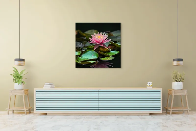 Tablou Canvas, "Lotus senin pe apa întunecată", Floare, Lac, Frunza, Apă, Reflecție, Natură, Tranquilitate, Petale, Verde, Roz, 100 x 100 cm – poza 5
