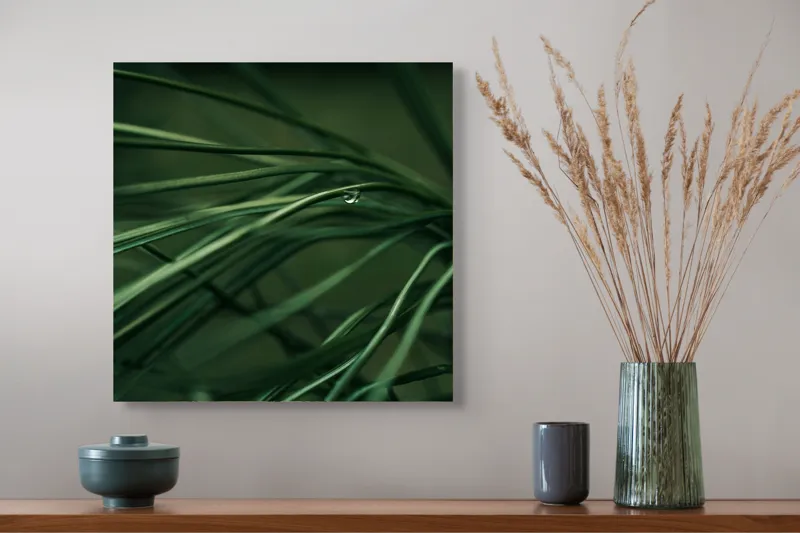 Tablou Canvas, "Roua pe firele de iarbă verde", Frunze, Verde, Picături, Natură, Delicat, Umiditate, Lumină, Frumusețe, Simplitate, Reflecție, 50 x 50 cm – poza 4