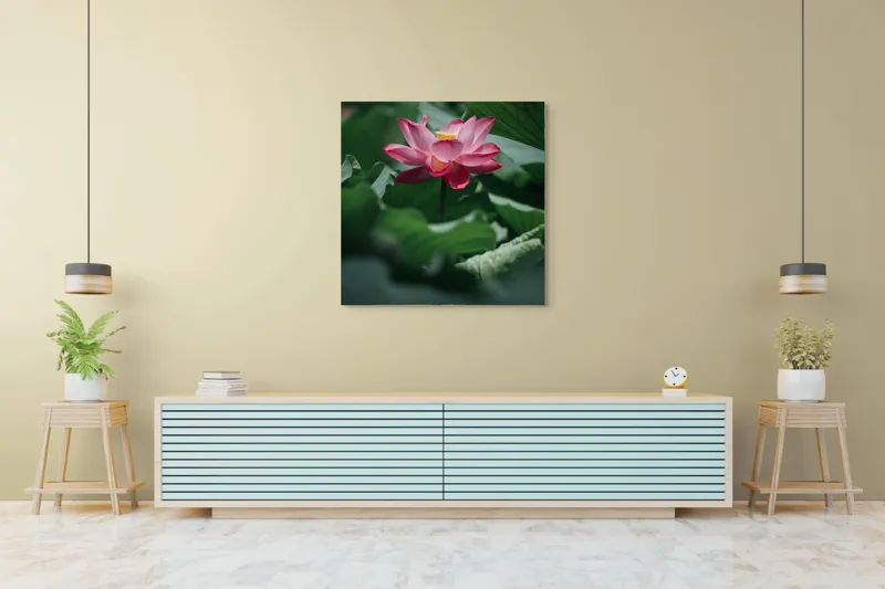 Tablou Canvas, "Frumusețea solitară a lotusului roz", Floare, Lotus, Roz, Frunze, Verde, Natură, Frumusețe, 100 x 100 cm – poza 5