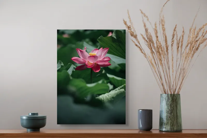 Tablou Canvas, "Frumusețea solitară a lotusului roz", Floare, Lotus, Roz, Frunze, Verde, Natură, Frumusețe, 39 x 54 cm – poza 3