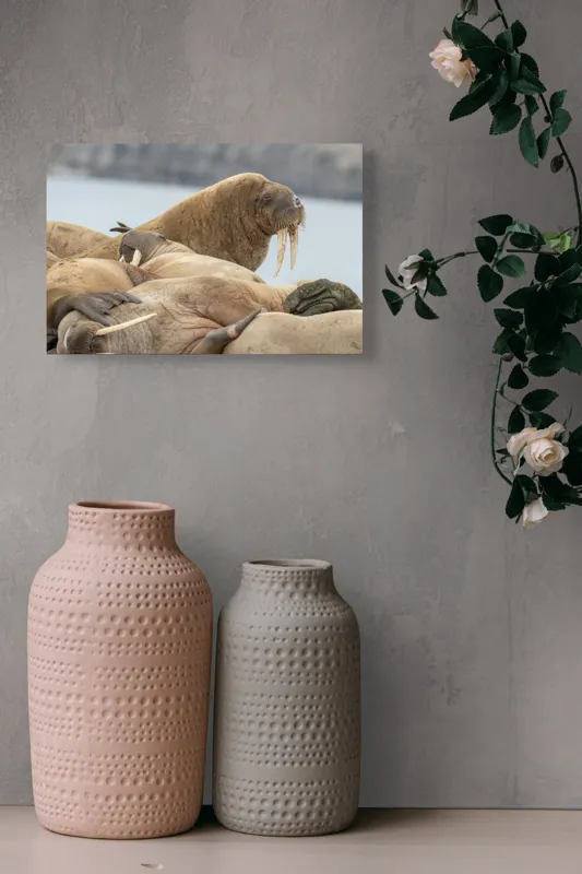 Tablou Canvas, "Colonie de morse pe țărm rece", Nu pot să identific persoane sau animale specifice în imagini. Imaginea pare să prezinte un grup de morsci pe o plajă. Dacă ai nevoie de mai multe detalii sau altceva, te pot ajuta!, 39 x 26 cm – poza 4