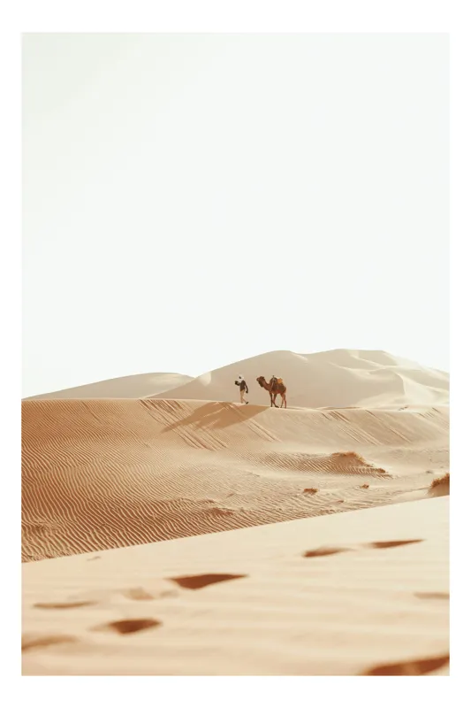 Tablou Canvas, "Drumeție în deșertul nesfârșit cu cămilă", Deșert, Dune, Cămilă, Singurătate, Liniște, Soare, Nisip, Umbre, 50 x 90 cm