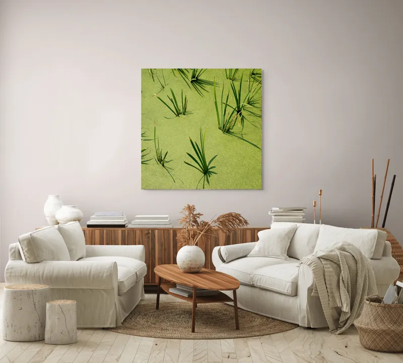 Tablou Canvas, "Frunziș plutitor pe apă liniștită", Iarbă, Apă, Verde, Lumină, Umbră, Natură, Reflecție, Simplitate, Răcoare, Calmitate, 100 x 100 cm – poza 3