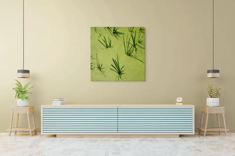 Tablou Canvas, "Frunziș plutitor pe apă liniștită", Iarbă, Apă, Verde, Lumină, Umbră, Natură, Reflecție, Simplitate, Răcoare, Calmitate, 100 x 100 cm – poza 5