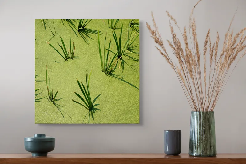 Tablou Canvas, "Frunziș plutitor pe apă liniștită", Iarbă, Apă, Verde, Lumină, Umbră, Natură, Reflecție, Simplitate, Răcoare, Calmitate, 50 x 50 cm – poza 4