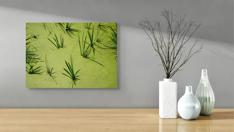 Tablou Canvas, "Frunziș plutitor pe apă liniștită", Iarbă, Apă, Verde, Lumină, Umbră, Natură, Reflecție, Simplitate, Răcoare, Calmitate, 54 x 39 cm – poza 3