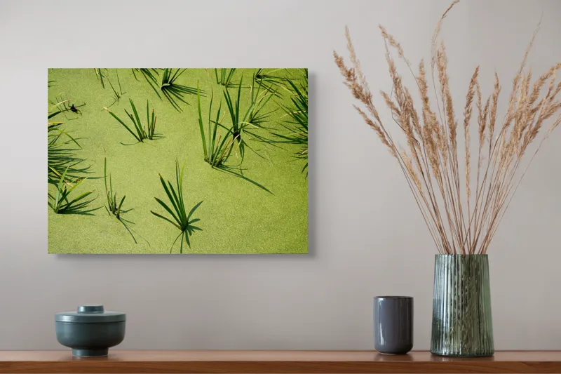 Tablou Canvas, "Frunziș plutitor pe apă liniștită", Iarbă, Apă, Verde, Lumină, Umbră, Natură, Reflecție, Simplitate, Răcoare, Calmitate, 54 x 39 cm – poza 4