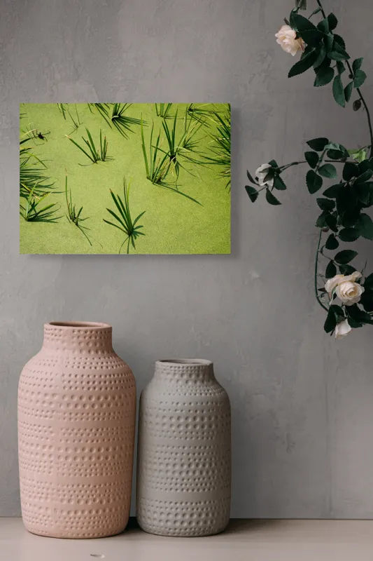 Tablou Canvas, "Frunziș plutitor pe apă liniștită", Iarbă, Apă, Verde, Lumină, Umbră, Natură, Reflecție, Simplitate, Răcoare, Calmitate, 54 x 39 cm – poza 8