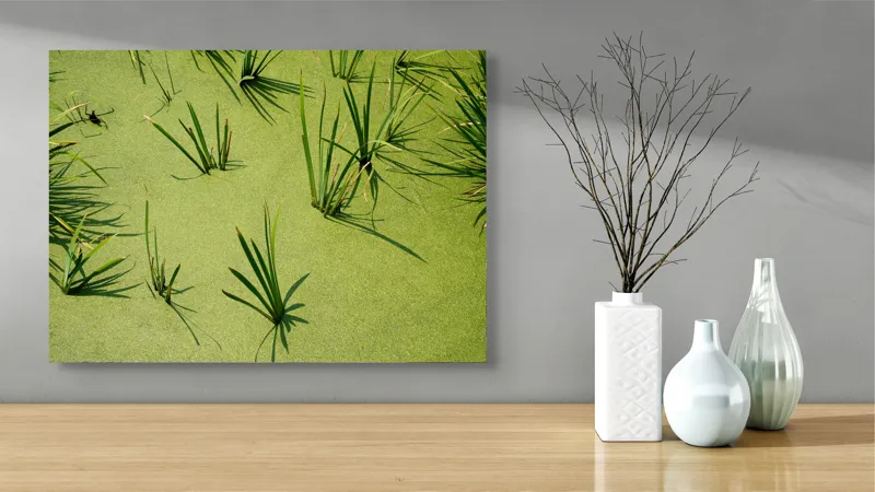 Tablou Canvas, "Frunziș plutitor pe apă liniștită", Iarbă, Apă, Verde, Lumină, Umbră, Natură, Reflecție, Simplitate, Răcoare, Calmitate, 70 x 50 cm – poza 3