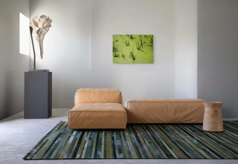 Tablou Canvas, "Frunziș plutitor pe apă liniștită", Iarbă, Apă, Verde, Lumină, Umbră, Natură, Reflecție, Simplitate, Răcoare, Calmitate, 70 x 50 cm – poza 8