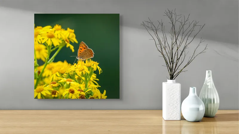 Tablou Canvas, "Fluturele și splendoarea florilor galbene", Fluturi, Flori, Galben, Verde, Fragilitate, Frumusețe, Contraste, Delicatețe, Naturalețe, Echilibru, 50 x 50 cm – poza 3
