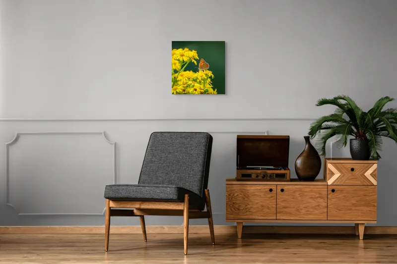 Tablou Canvas, "Fluturele și splendoarea florilor galbene", Fluturi, Flori, Galben, Verde, Fragilitate, Frumusețe, Contraste, Delicatețe, Naturalețe, Echilibru, 50 x 50 cm – poza 6