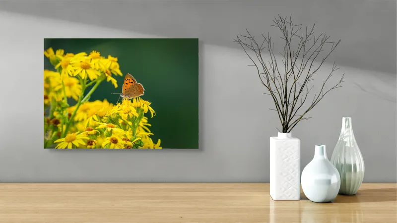 Tablou Canvas, "Fluturele și splendoarea florilor galbene", Fluturi, Flori, Galben, Verde, Fragilitate, Frumusețe, Contraste, Delicatețe, Naturalețe, Echilibru, 54 x 39 cm – poza 3