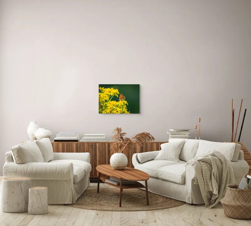 Tablou Canvas, "Fluturele și splendoarea florilor galbene", Fluturi, Flori, Galben, Verde, Fragilitate, Frumusețe, Contraste, Delicatețe, Naturalețe, Echilibru, 54 x 39 cm – poza 5