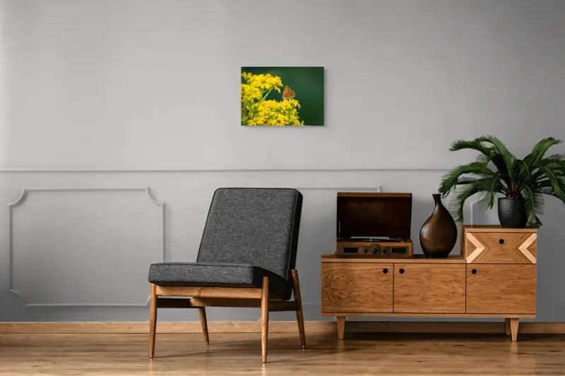 Tablou Canvas, "Fluturele și splendoarea florilor galbene", Fluturi, Flori, Galben, Verde, Fragilitate, Frumusețe, Contraste, Delicatețe, Naturalețe, Echilibru, 54 x 39 cm – poza 7