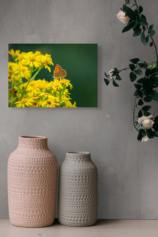 Tablou Canvas, "Fluturele și splendoarea florilor galbene", Fluturi, Flori, Galben, Verde, Fragilitate, Frumusețe, Contraste, Delicatețe, Naturalețe, Echilibru, 54 x 39 cm – poza 8