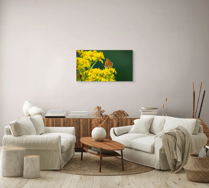 Tablou Canvas, "Fluturele și splendoarea florilor galbene", Fluturi, Flori, Galben, Verde, Fragilitate, Frumusețe, Contraste, Delicatețe, Naturalețe, Echilibru, 90 x 50 cm – poza 4