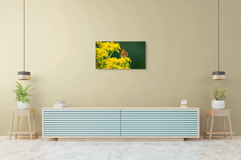 Tablou Canvas, "Fluturele și splendoarea florilor galbene", Fluturi, Flori, Galben, Verde, Fragilitate, Frumusețe, Contraste, Delicatețe, Naturalețe, Echilibru, 90 x 50 cm – poza 5