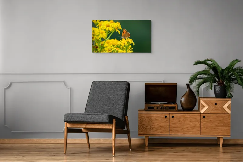 Tablou Canvas, "Fluturele și splendoarea florilor galbene", Fluturi, Flori, Galben, Verde, Fragilitate, Frumusețe, Contraste, Delicatețe, Naturalețe, Echilibru, 90 x 50 cm – poza 6