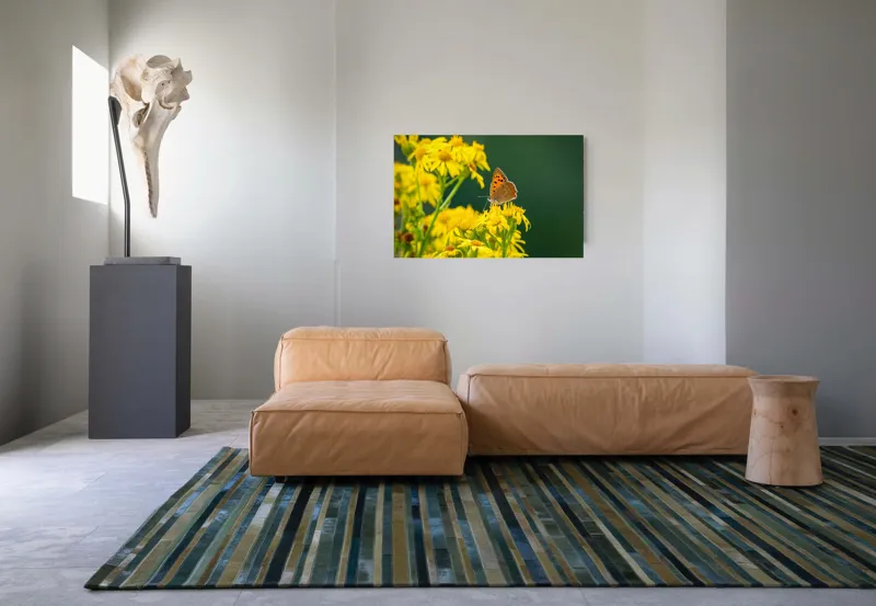Tablou Canvas, "Fluturele și splendoarea florilor galbene", Fluturi, Flori, Galben, Verde, Fragilitate, Frumusețe, Contraste, Delicatețe, Naturalețe, Echilibru, 90 x 50 cm – poza 8