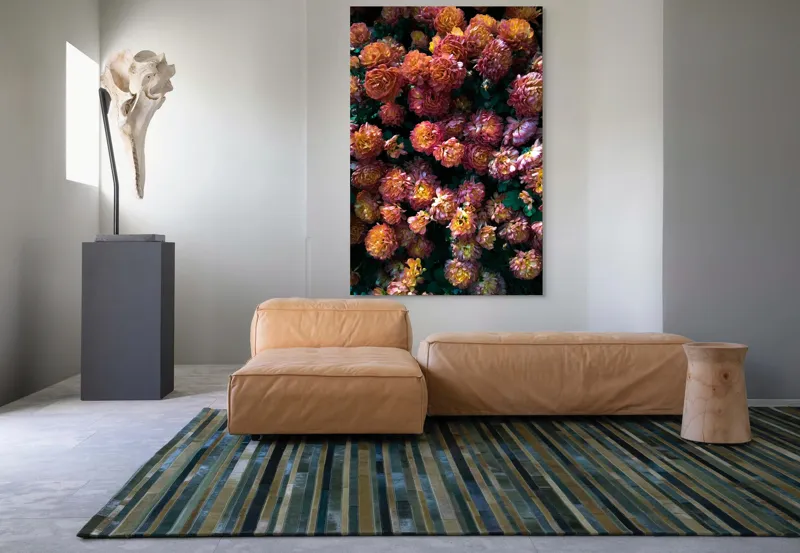 Tablou Canvas, "Abundență de crizanteme solare", Flori, Portocalii, Bogate, Texturate, Luminoase, Frunze, Grădină, Naturale, Petale, Colorate, 100 x 150 cm – poza 7