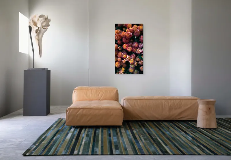 Tablou Canvas, "Abundență de crizanteme solare", Flori, Portocalii, Bogate, Texturate, Luminoase, Frunze, Grădină, Naturale, Petale, Colorate, 50 x 90 cm – poza 5