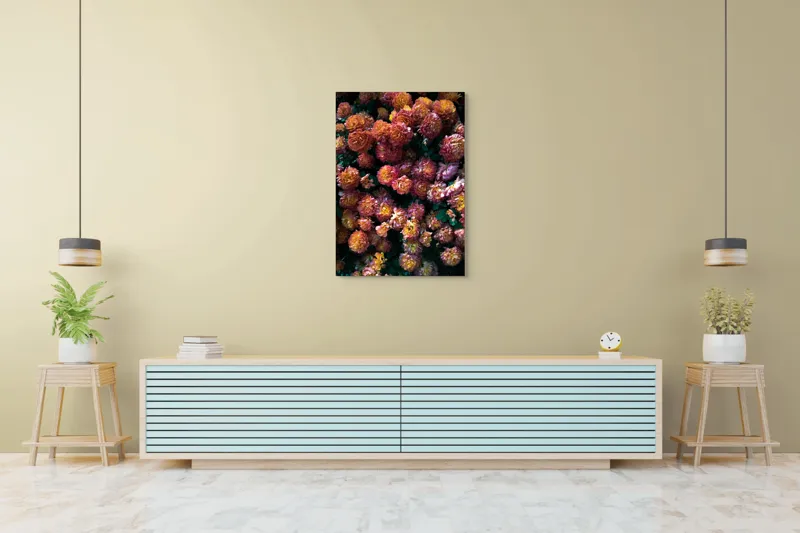 Tablou Canvas, "Abundență de crizanteme solare", Flori, Portocalii, Bogate, Texturate, Luminoase, Frunze, Grădină, Naturale, Petale, Colorate, 70 x 100 cm – poza 5