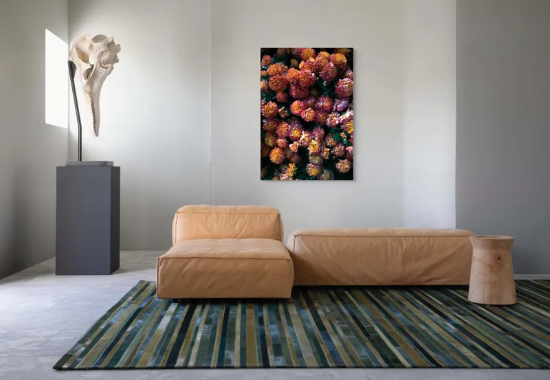 Tablou Canvas, "Abundență de crizanteme solare", Flori, Portocalii, Bogate, Texturate, Luminoase, Frunze, Grădină, Naturale, Petale, Colorate, 70 x 100 cm – poza 7