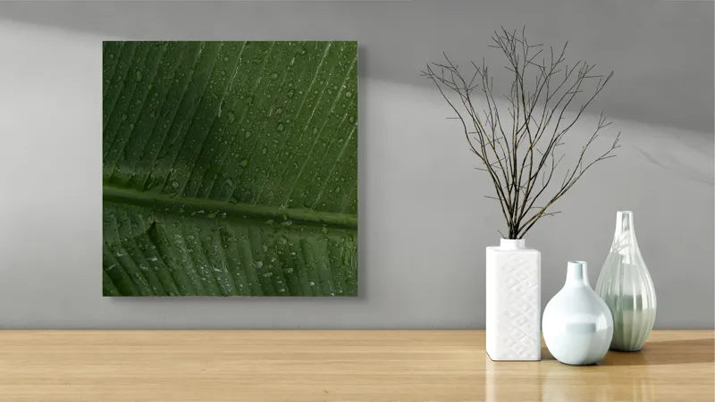 Tablou Canvas, "Picături de ploaie pe frunză verde", Frunze, Verde, Picături, Natură, Textură, Umiditate, Prim-plan, Plante, Proaspăt, Răcoare, 50 x 50 cm – poza 3